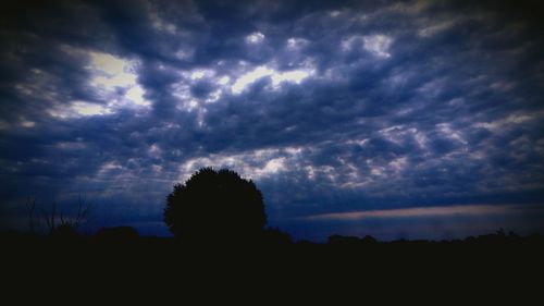 Silhouette of trees against cloudy sky