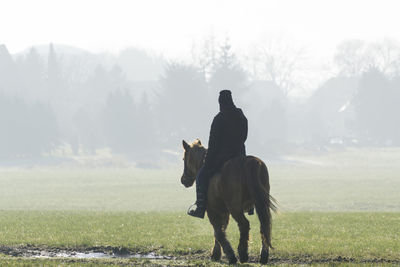 Man riding horse on field against sky