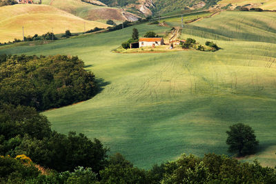 High angle view of green landscape