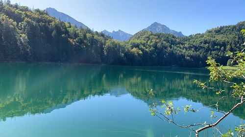 Scenic view of lake by trees against sky