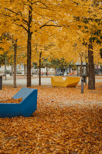 Trees in park during autumn