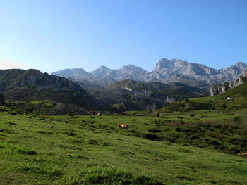 Scenic view of landscape and mountains against blue sky