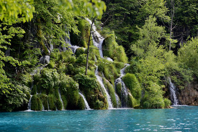 Plitvice waterfall in croatia