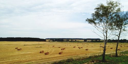 Hay bales on field against sky