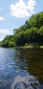 Scenic view of lake by trees against sky