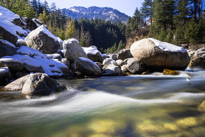 Scenic view of river flowing through rocks in forest