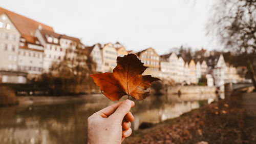 Close-up of hand holding leaf against sky