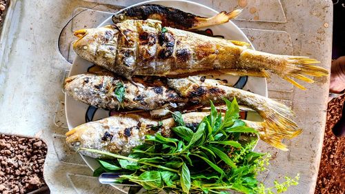 High angle view of fish on table