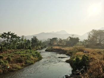 Scenic view of landscape against clear sky