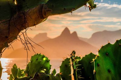 Scenic view of mountains against sky during sunset