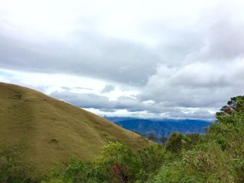 Landscape with mountain range in background