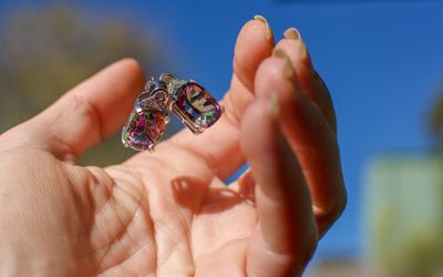 Close-up of hand holding butterfly