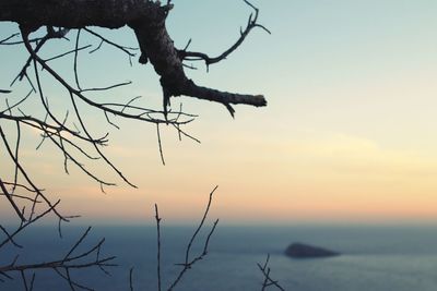 Close-up of silhouette bare tree against sky