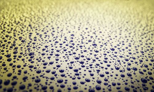 Full frame shot of yellow surface