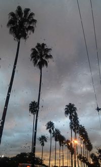 Low angle view of silhouette palm trees against sky at sunset