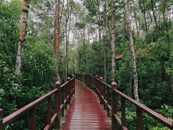 Wooden footbridge amidst trees in forest