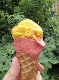 Close-up of hand holding ice cream cone