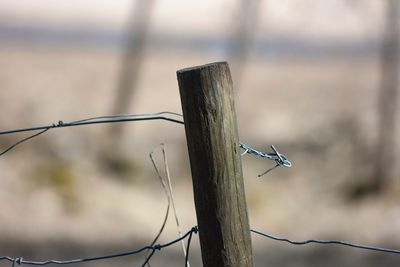 Close-up of barbed wire