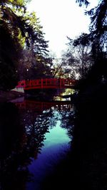 Reflection of trees in river