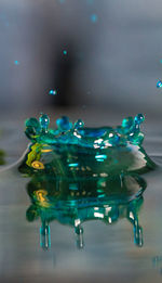 Close-up of water drop