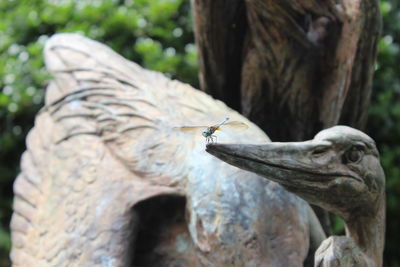 Close-up of a bird on tree trunk
