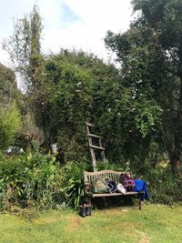 Chairs and plants in park against sky