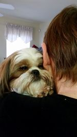 Close-up of woman with dog at home