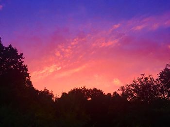 Low angle view of silhouette trees against sky during sunset