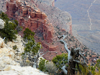 Scenic view of tree mountains