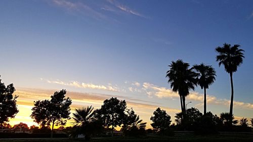 Silhouette palm trees against sky during sunset