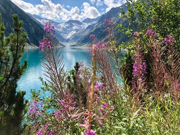 Scenic view of lake by trees against mountains