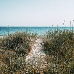 Scenic view of sea against clear sky