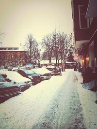 Bare trees in front of building