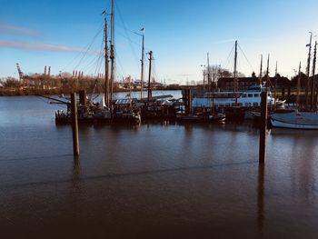 Sailboats moored at harbor