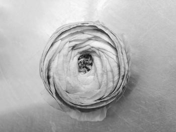 High angle view of a drink on table