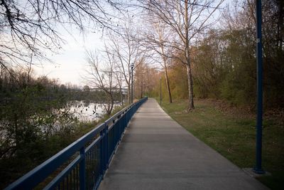 Footpath amidst trees against sky