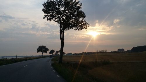 Trees on road against sky during sunset