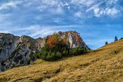 Scenic view of landscape and mountains against sky