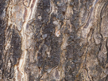 Full frame shot of rock