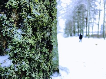 Rear view of man on snow covered field