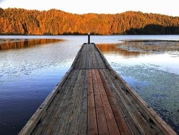 Pier amidst lake against trees