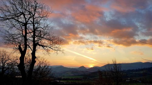 Silhouette trees on landscape against orange sky