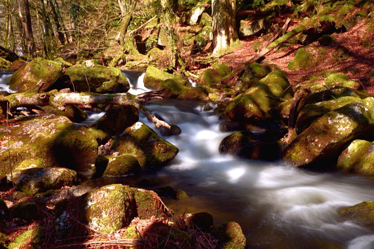 nature, beauty in nature, rock - object, scenics, tree, waterfall, sunlight, motion, no people, sunbeam, travel destinations, outdoors, landscape, tranquil scene, forest, vacations, water, day, stream - flowing water