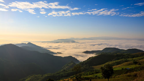 Landscape view at morning time sea fog on the mountain beautiful landmark chiang rai thailand