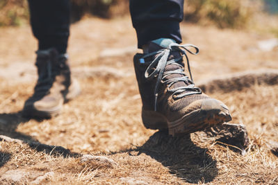 Low section of women walking on land