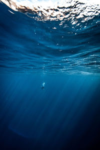 Close-up of swimming in sea