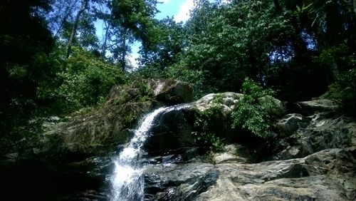 Waterfall in forest