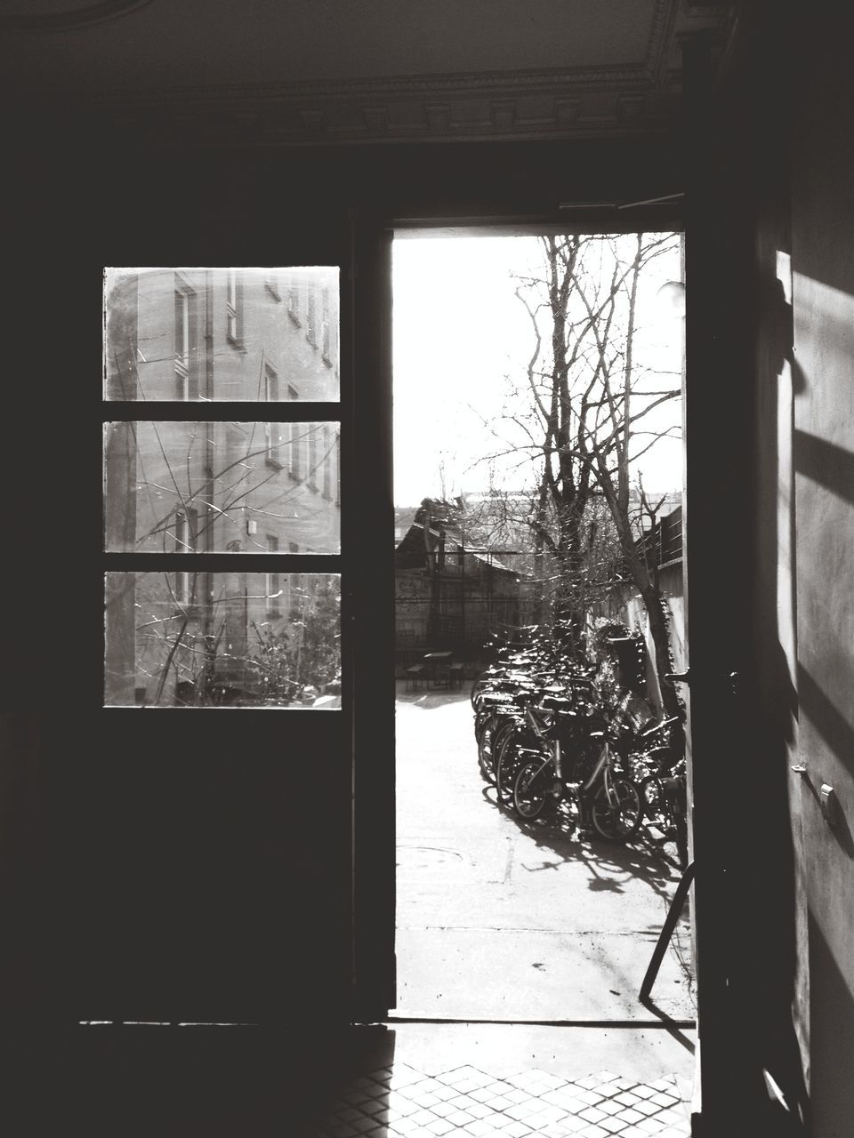 window, indoors, glass - material, snow, transparent, winter, cold temperature, tree, built structure, architecture, house, bare tree, season, day, weather, no people, abandoned, home interior, nature, covering