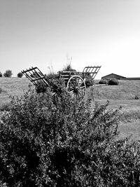 Plants growing on field against clear sky