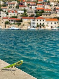 View of a swimming pool against buildings